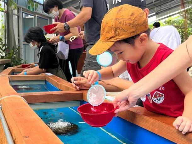 熱帯魚すくい♪