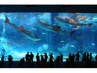 海洋博公園になんと4時間滞在！