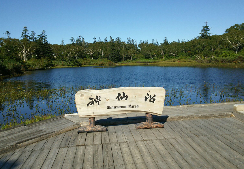 絵画のような神秘の沼
