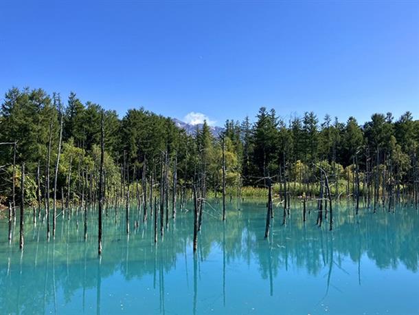 白金青い池