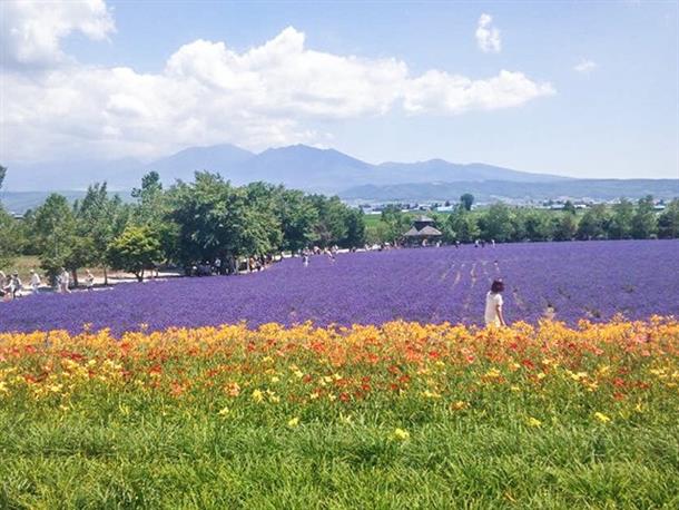 ファーム富田