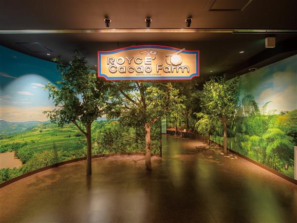 カカオ栽培やカカオの歴史、製造工程を展示