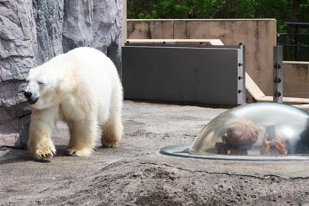 動物たちが近くで見られる工夫もある♪