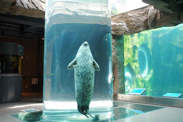 自然に近い姿で遊ぶ動物たち♪
