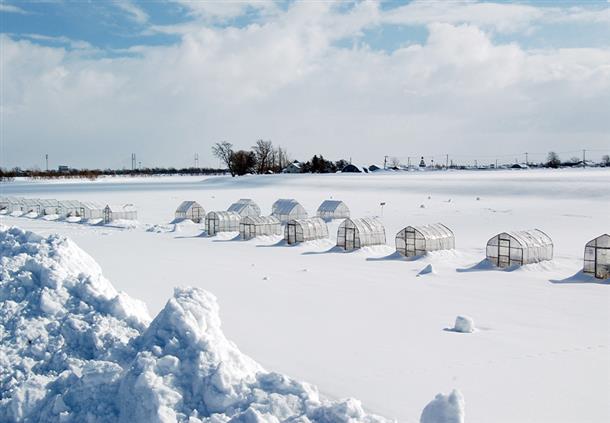 結氷し広い雪原となる『しのつ湖』