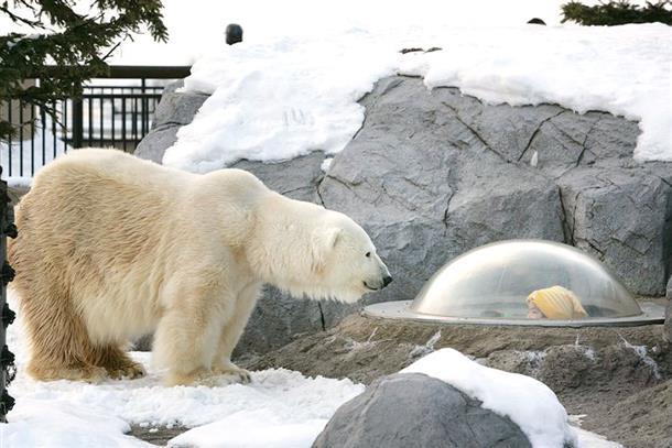 6,000円！お得に楽しむ旭山動物園