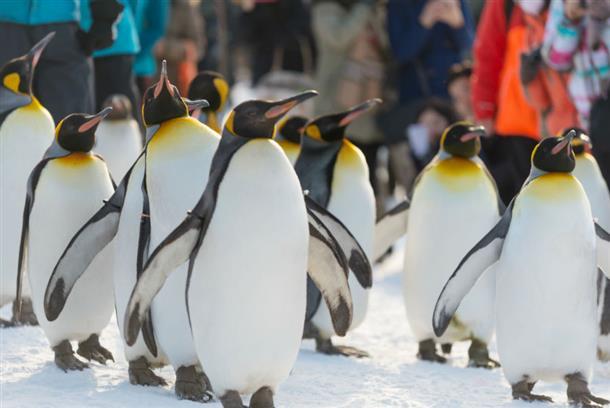 動物たちが近くで見られる工夫もある♪