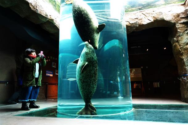 冬なら人気動物もゆっくり見られる