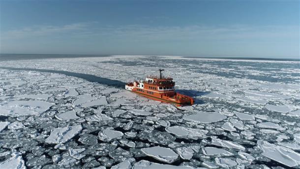 一面の流氷に感動！