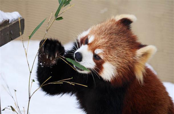 動物たちの可愛い姿満載！