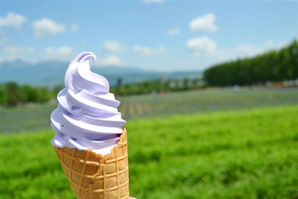 富良野・美瑛・旭川の美をめぐる