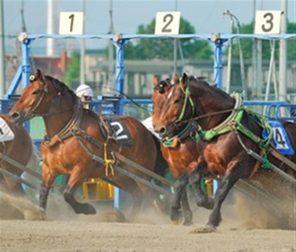 【十勝ばんえい競馬】