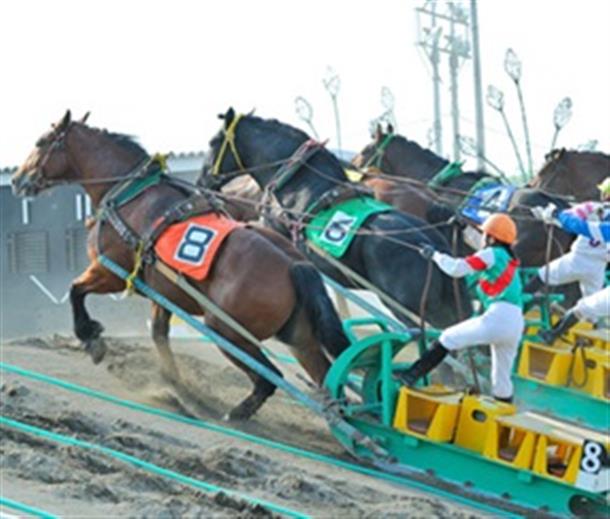 【十勝ばんえい競馬】