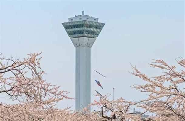 五稜郭を上から一望！五稜郭タワー