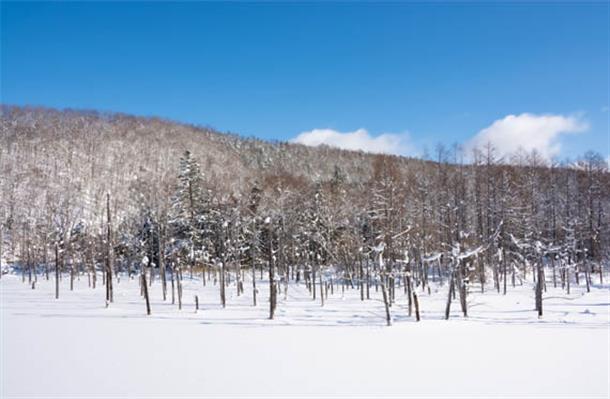 刻一刻と色を変え冬物語を描く『青い池』