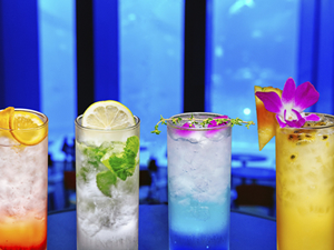 スペシャルカクテル１杯付き♪