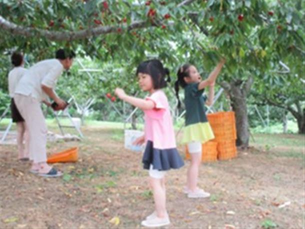 山中果樹園