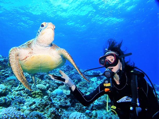 ウミガメとの出会いは感動♪
