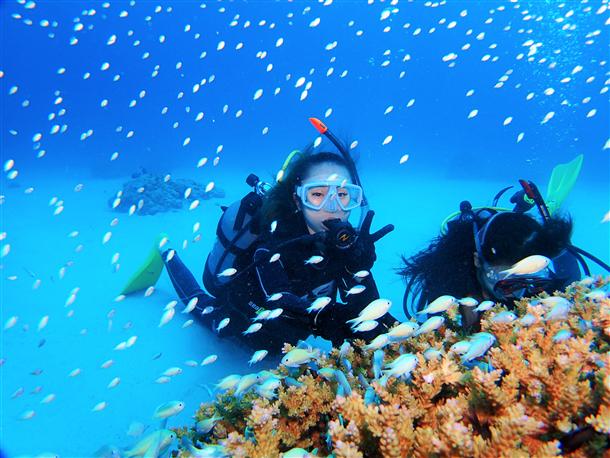 熱帯魚たちと海中散歩♪