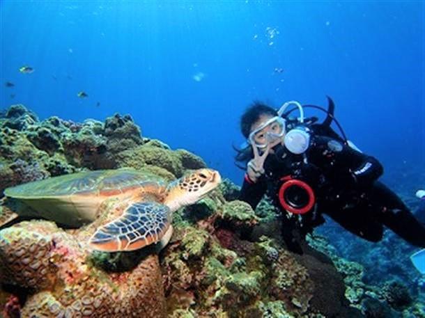 ウミガメと記念写真♪