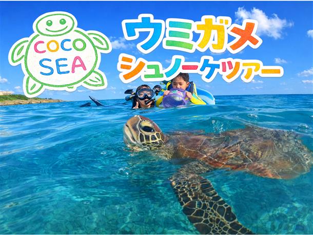 ウミガメシュノーケル