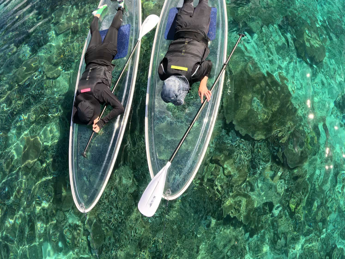 カラフルなお魚と綺麗なサンゴ礁が見える♪