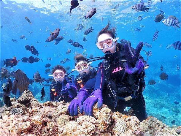 お魚の餌付け体験♪