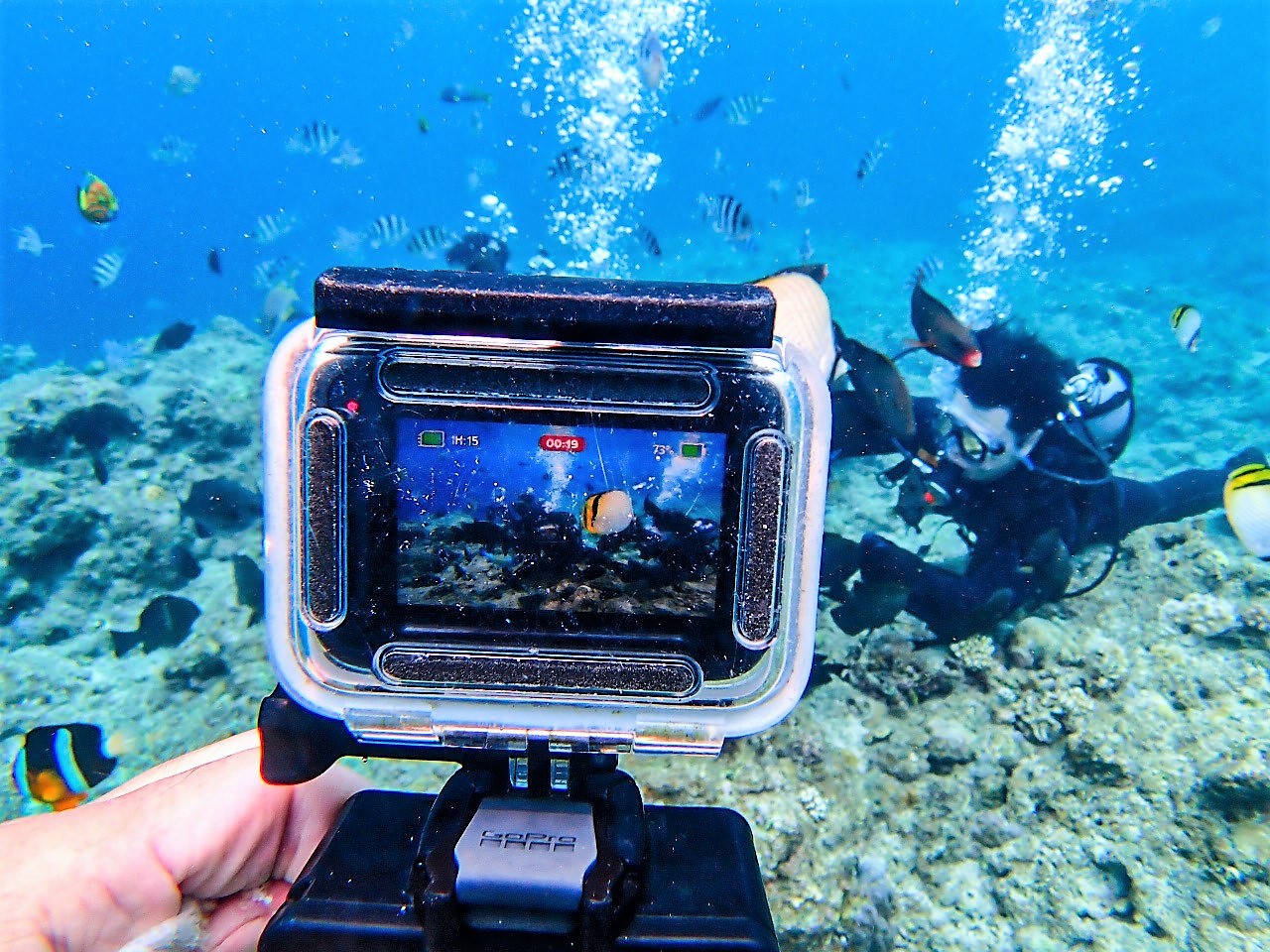 最新の高性能カメラで写真＆動画撮影♪
