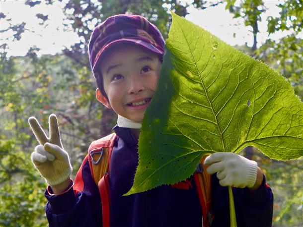 未整備の山道やけもの道を歩いて探検家気分