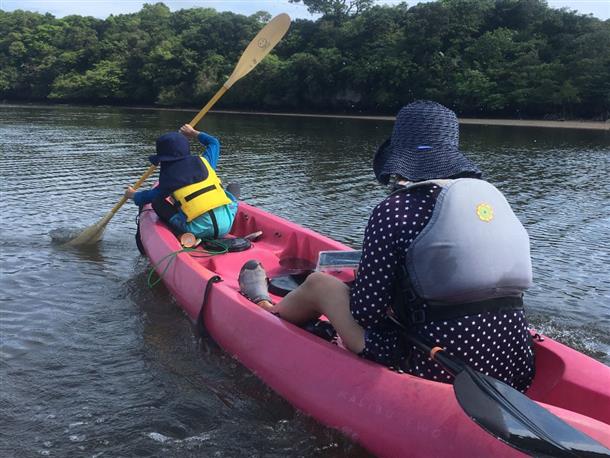 西表島の大自然を楽しもう！