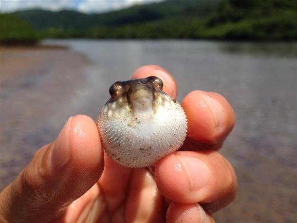 ここでしか出逢うことのできない生き物も？