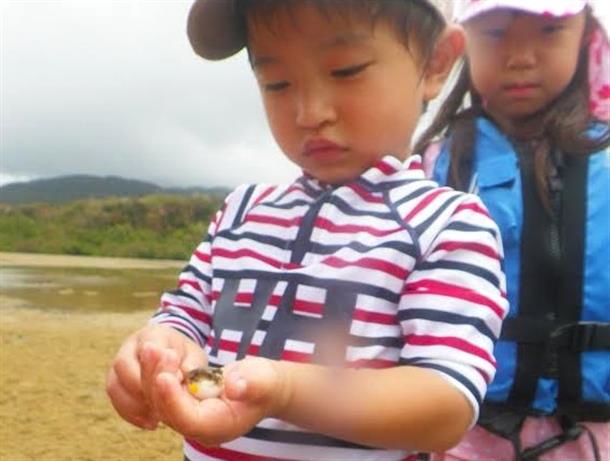 生き物と沢山触れ合える！