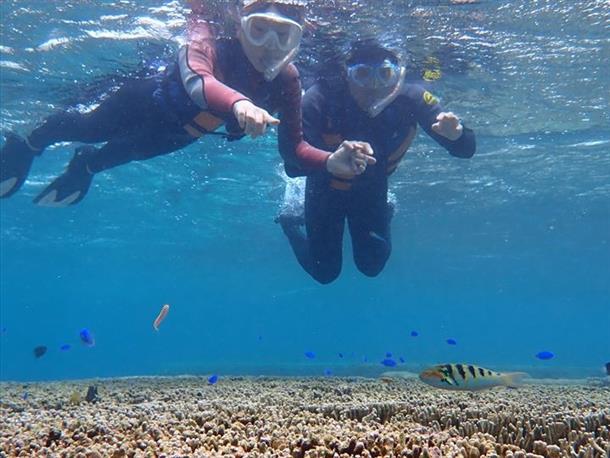天然の水族館へようこそ～♪