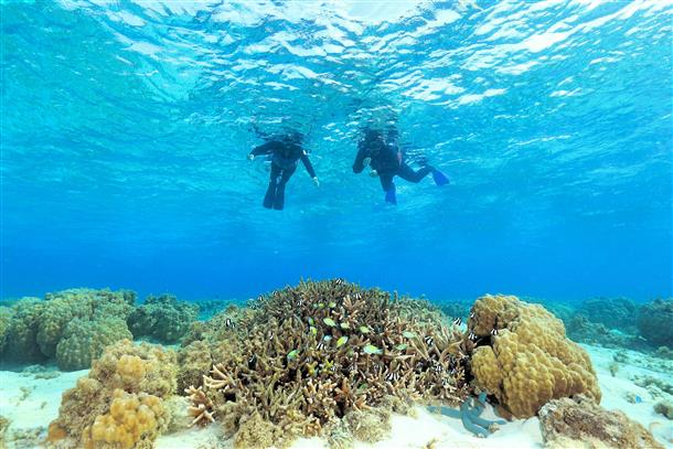 無人島の目の前はサンゴと熱帯魚の楽園