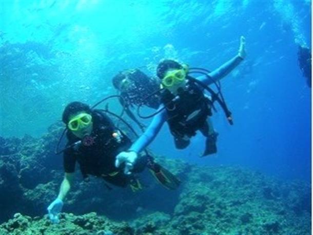 こんな風に海の中を飛べるようになります