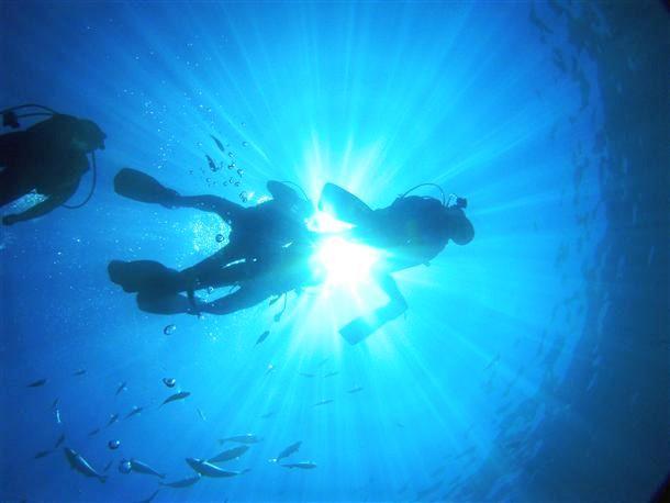 沖縄の海は透明度も抜群！