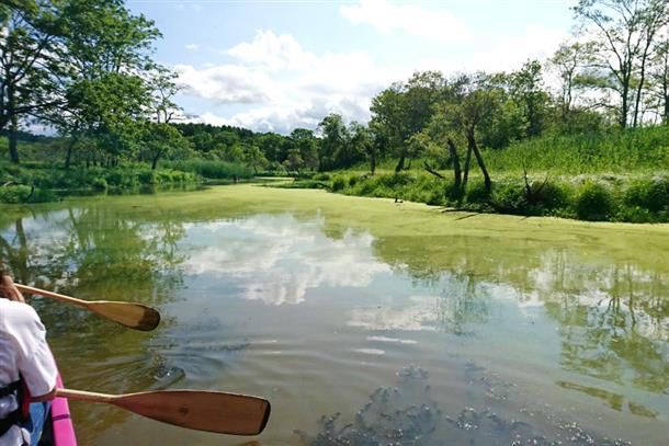 カヌーで釧路湿原を体感しよう