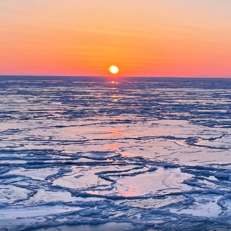 「サンライズクルーズ」