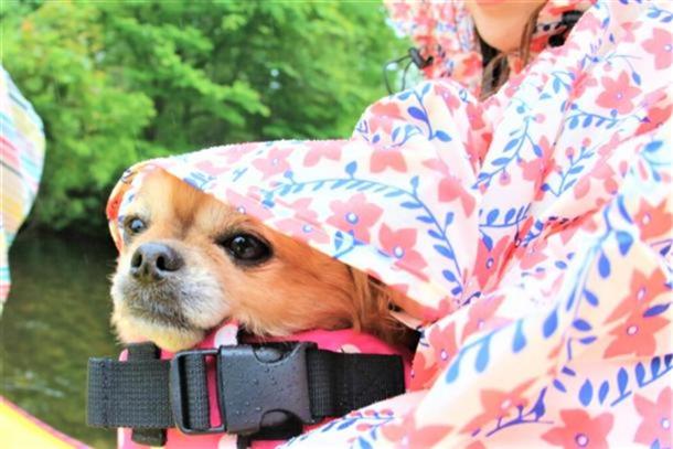 カヌーは雨の日も楽しい♪わんこも一緒に