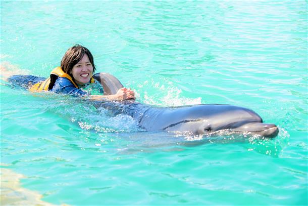 イルカと一緒に泳ごう♪