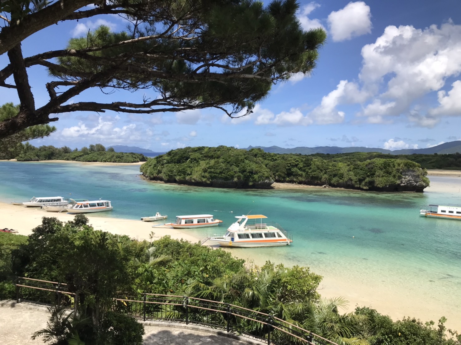 ミシュラン三ツ星の川平湾を海中散歩♪