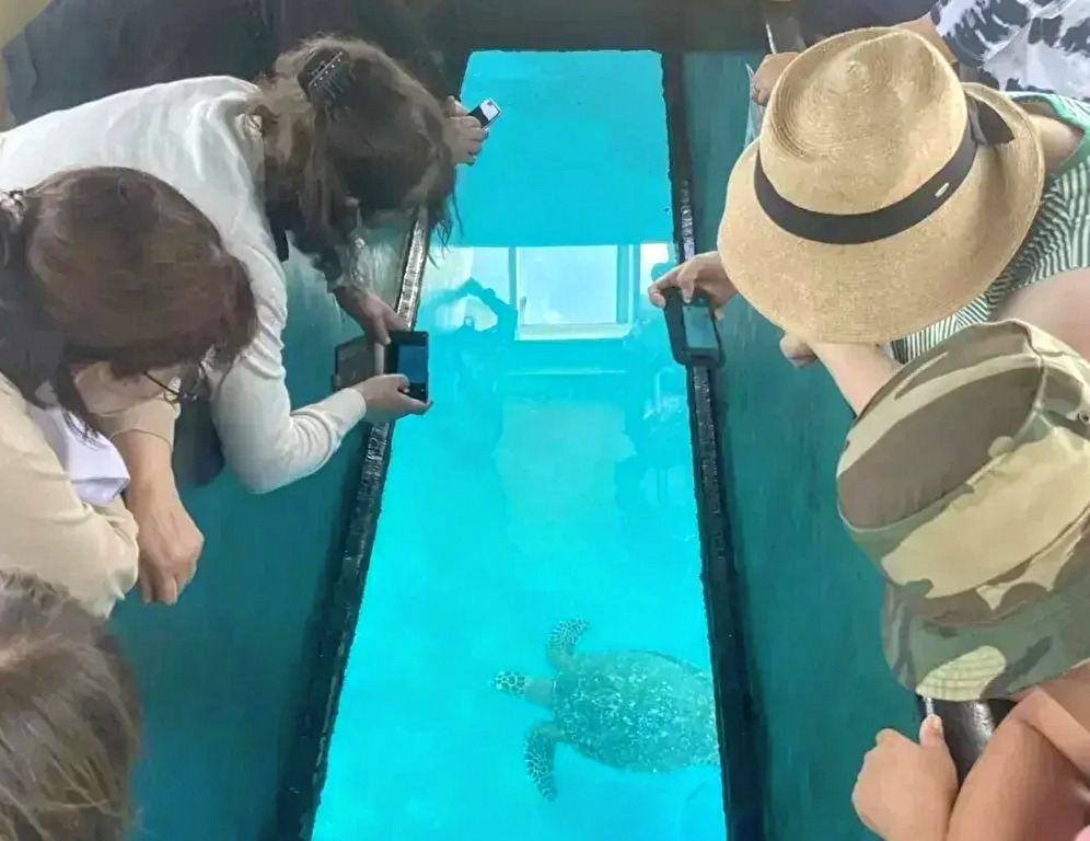 さんご礁の海を海中散歩♪