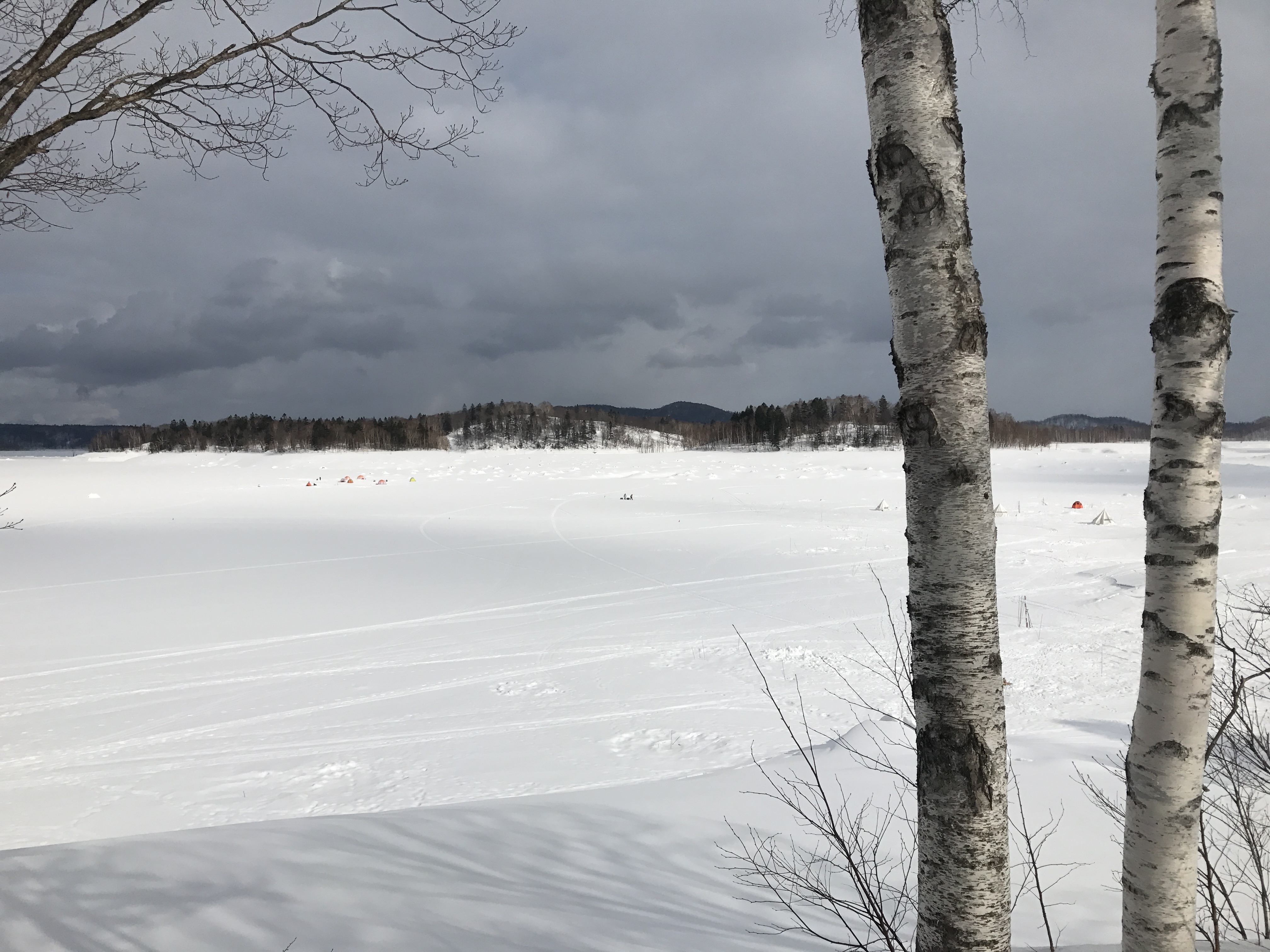 北海道らしい雪景色を見に行こう！