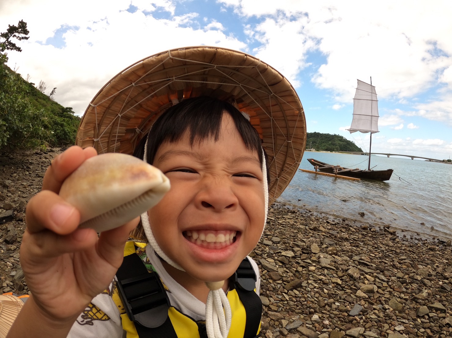 大きなタカラガイ発見♪
