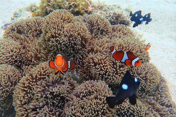 かわいい熱帯魚にも会える♪