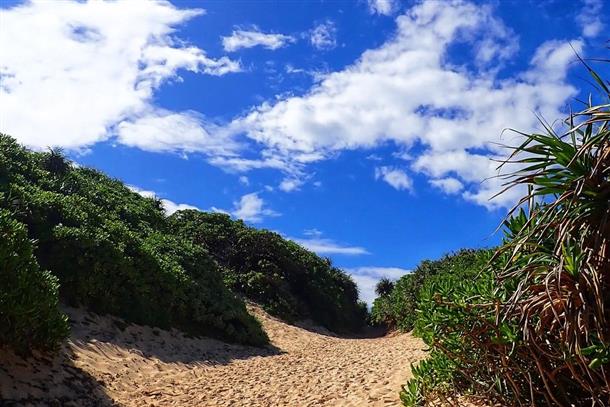海遊び＆陸遊びをカスタマイズできる★