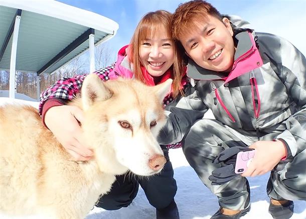 可愛い犬たちが頑張ります。