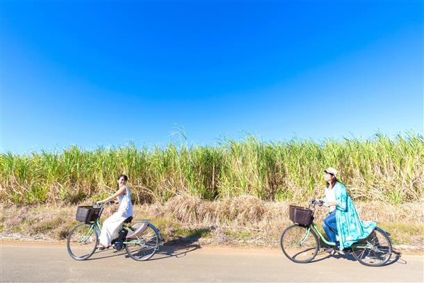 自由に探索♪