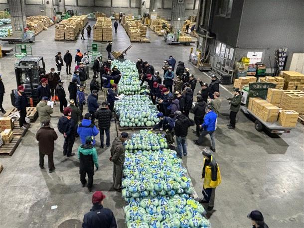 突然目の前で野菜のオークションになるかも