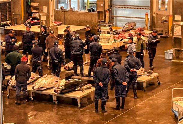 目の前で巧みに切り刻む壮大な光景を...